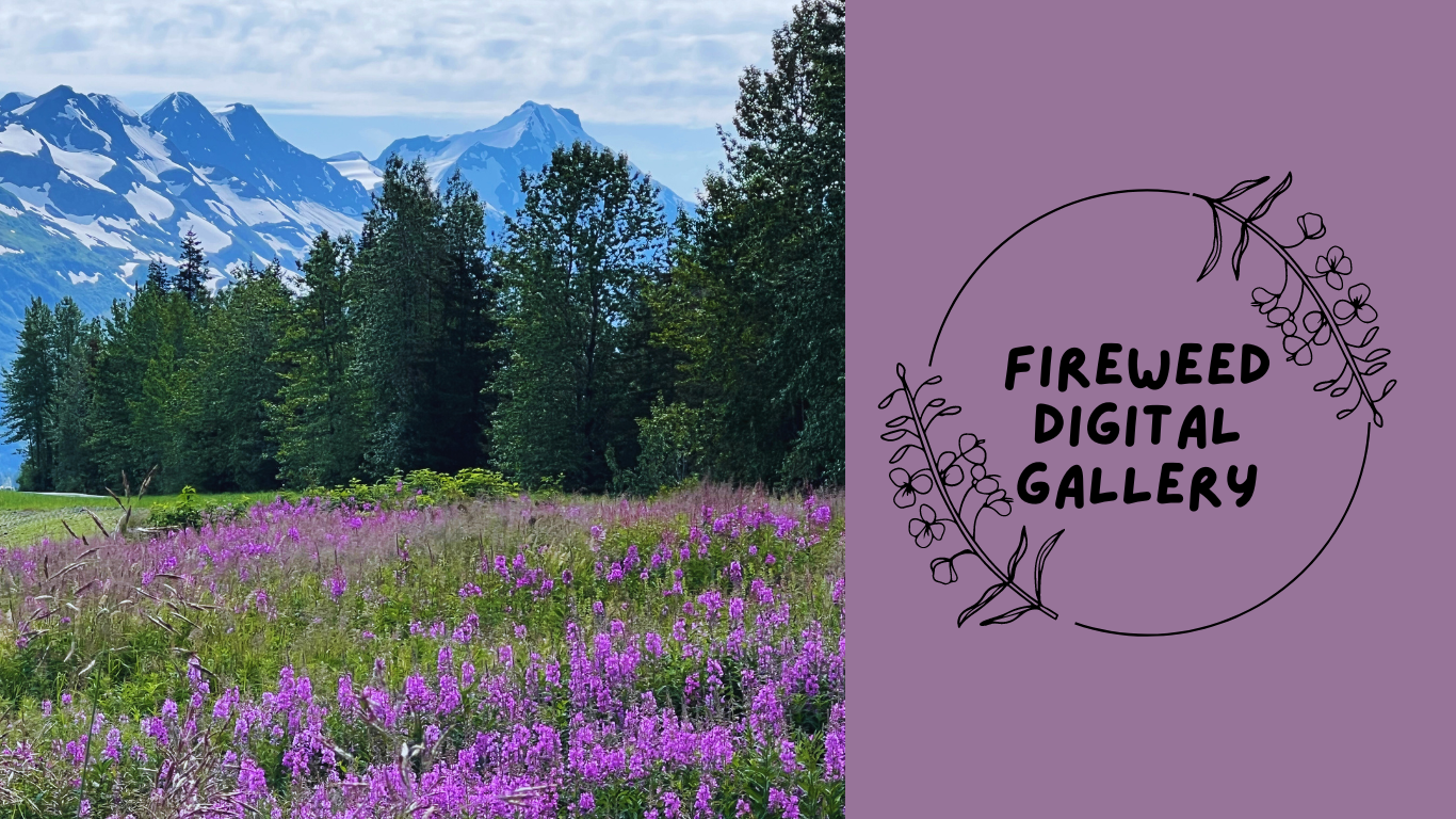 fireweed digital gallery home page